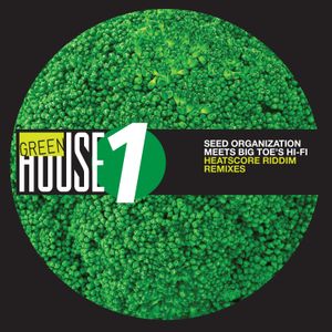 Heatscore Riddim Remixed by Seed Organization Meets Big Toe's HiFi